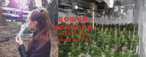 трава Бердск