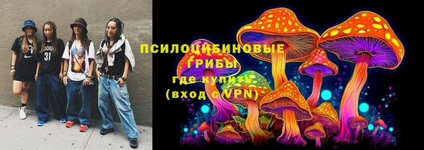 ешки Новый Уренгой