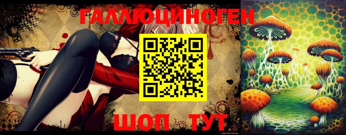 Псилоцибиновые грибы Psilocybine cubensis Звенигород