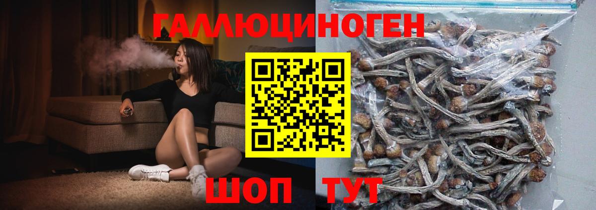 Галлюциногенные грибы GOLDEN TEACHER  Звенигород  Псилоцибиновые грибы Psilocybine cubensis 