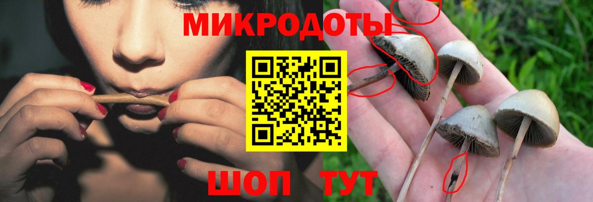Псилоцибиновые грибы Cubensis  Вход с VPN  купить закладку  Звенигород 